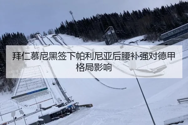 拜仁慕尼黑签下帕利尼亚后腰补强对德甲格局影响