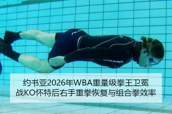 约书亚2026年WBA重量级拳王卫冕战KO怀特后右手重拳恢复与组合拳效率