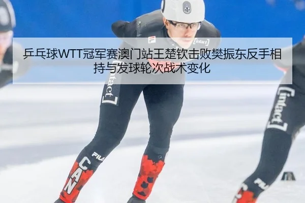 乒乓球WTT冠军赛澳门站王楚钦击败樊振东反手相持与发球轮次战术变化